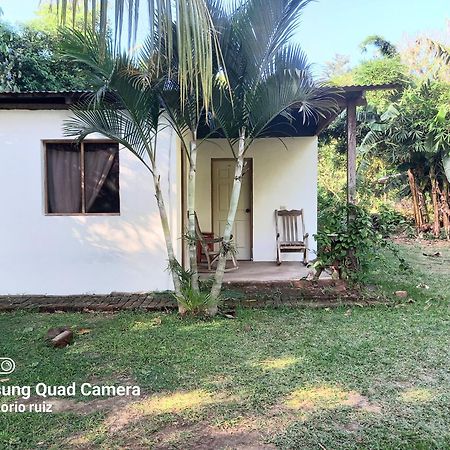 Mérida Hostel Los Chocoyos מראה חיצוני תמונה
