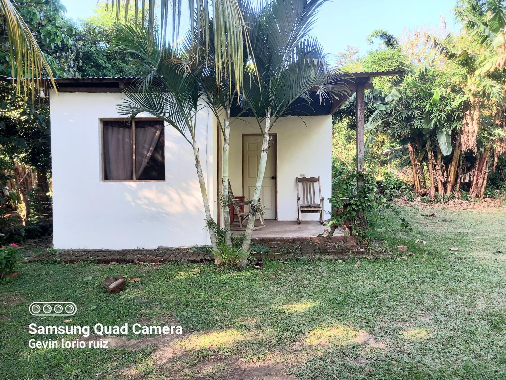 Mérida Hostel Los Chocoyos מראה חיצוני תמונה